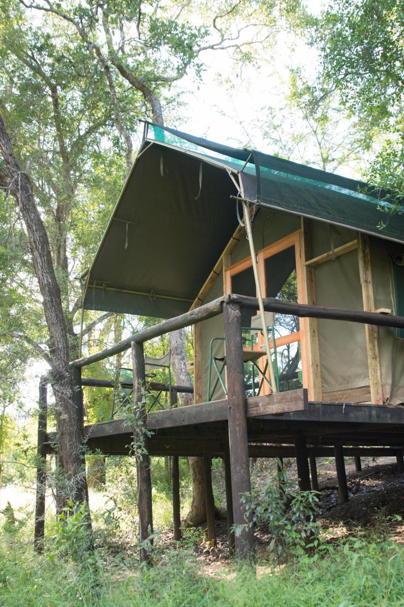 Ndzhaka Tented Camp Manyeleti Game Reserve Habitación foto