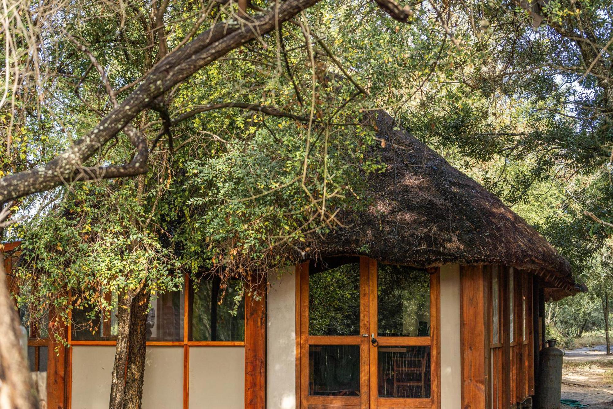 Ndzhaka Tented Camp Manyeleti Game Reserve Exterior foto
